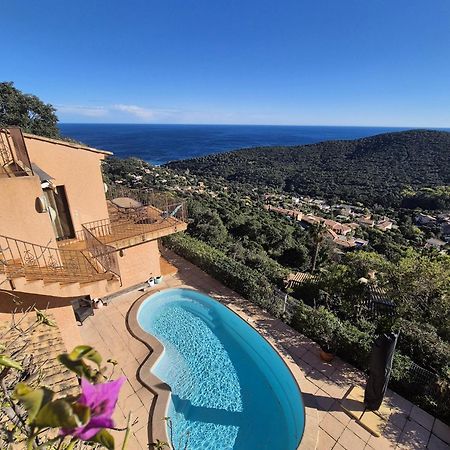 Villa Petale De Rose Cavalaire-sur-Mer Zewnętrze zdjęcie