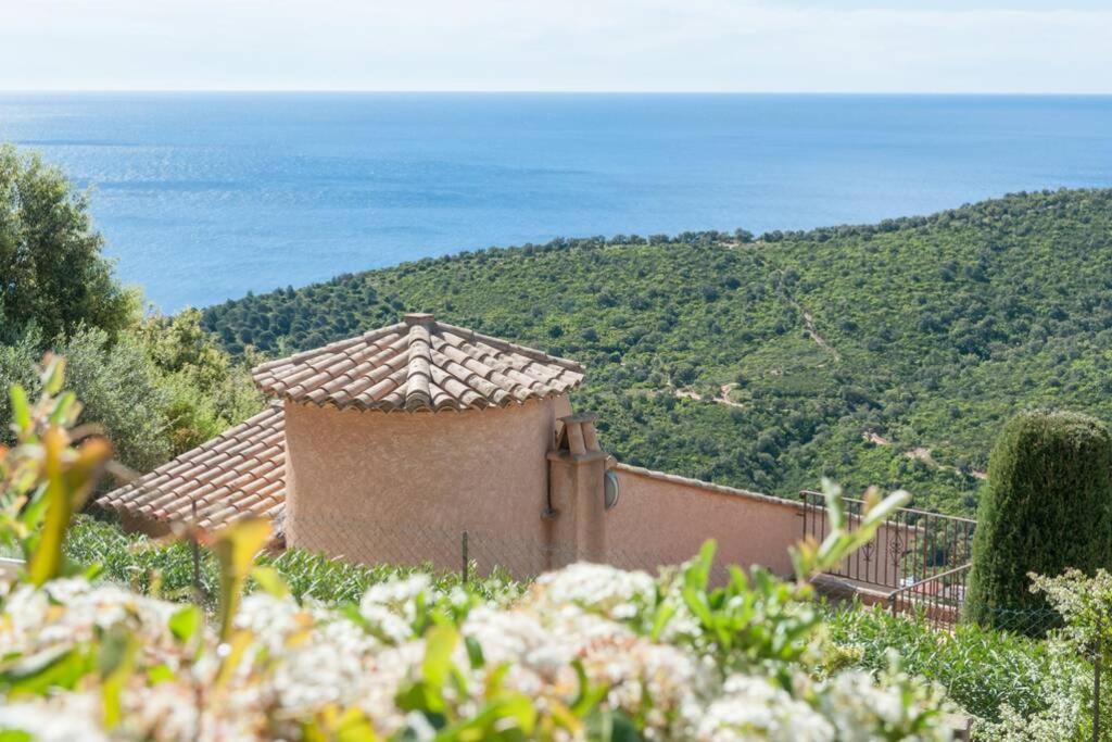 Villa Petale De Rose Cavalaire-sur-Mer Zewnętrze zdjęcie