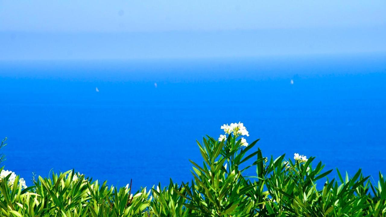 Villa Petale De Rose Cavalaire-sur-Mer Zewnętrze zdjęcie